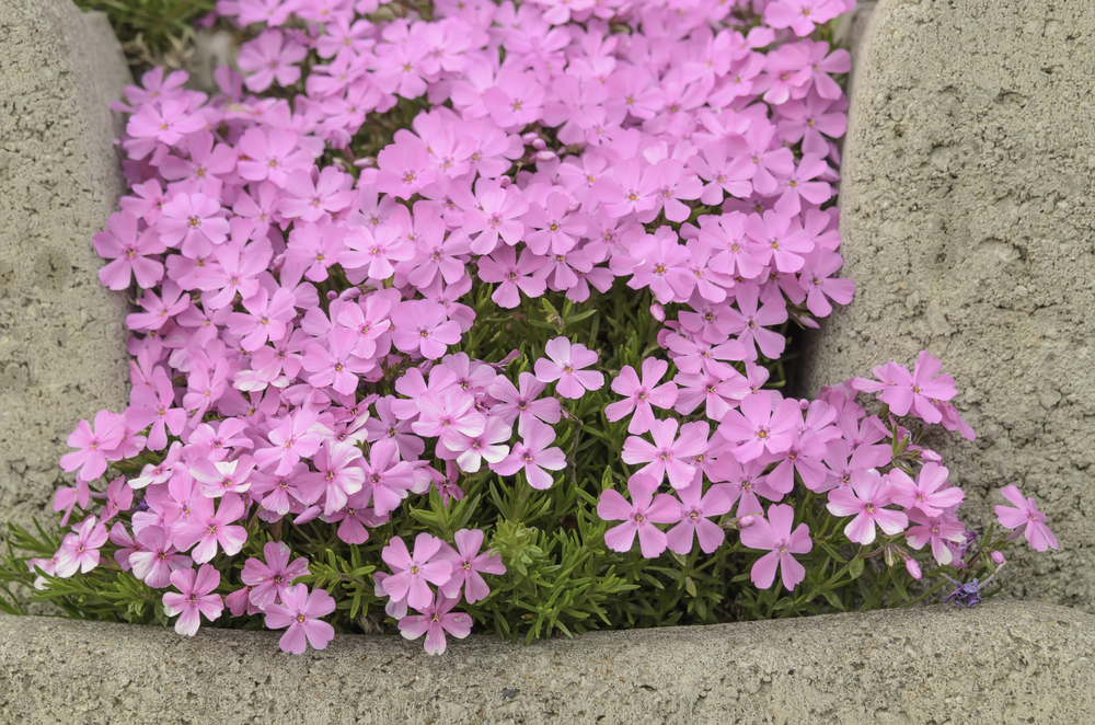Spring is here